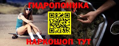 спиды Сланцы