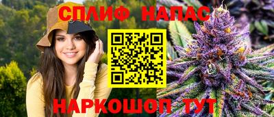 винт Славгород