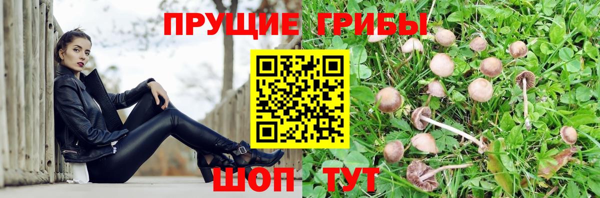 Псилоцибиновые грибы мицелий  Вход с VPN  Нефтекумск 